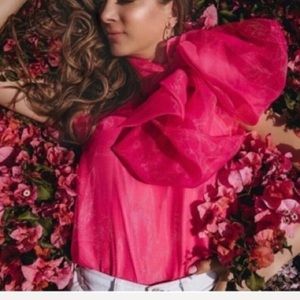 Zara Organza Blouse NWT